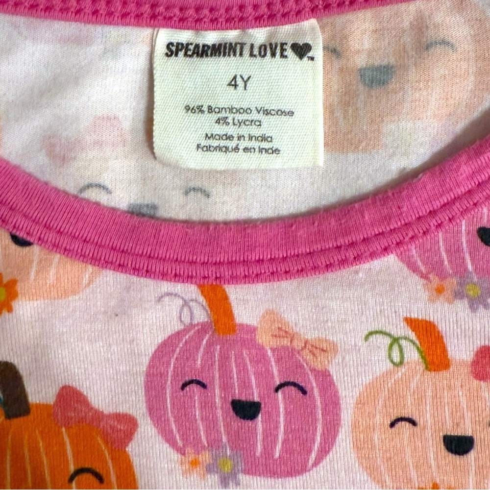 Spearmint Love Girls 4Y Bamboo Viscose Pumpkin Print Long Sleeve Top - Picture 3 of 4